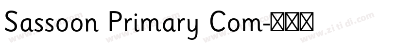 Sassoon Primary Com字体转换